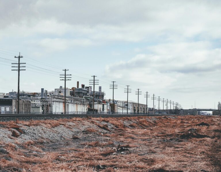 pexels-brett-sayles-7414323